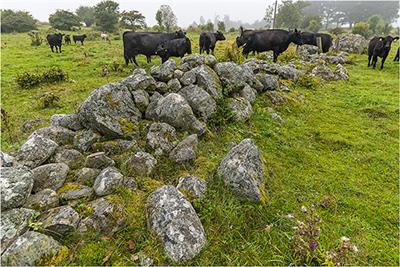 Coproduction of Food, Cultural Heritage and Biodiversity by Livestock Grazing in Swedish Semi-natural Grasslands